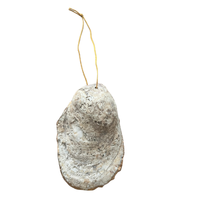 Oyster Shell Ornaments