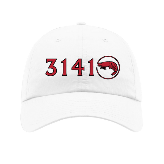 Richardson Relaxed Dri-Fit Hat : 31410